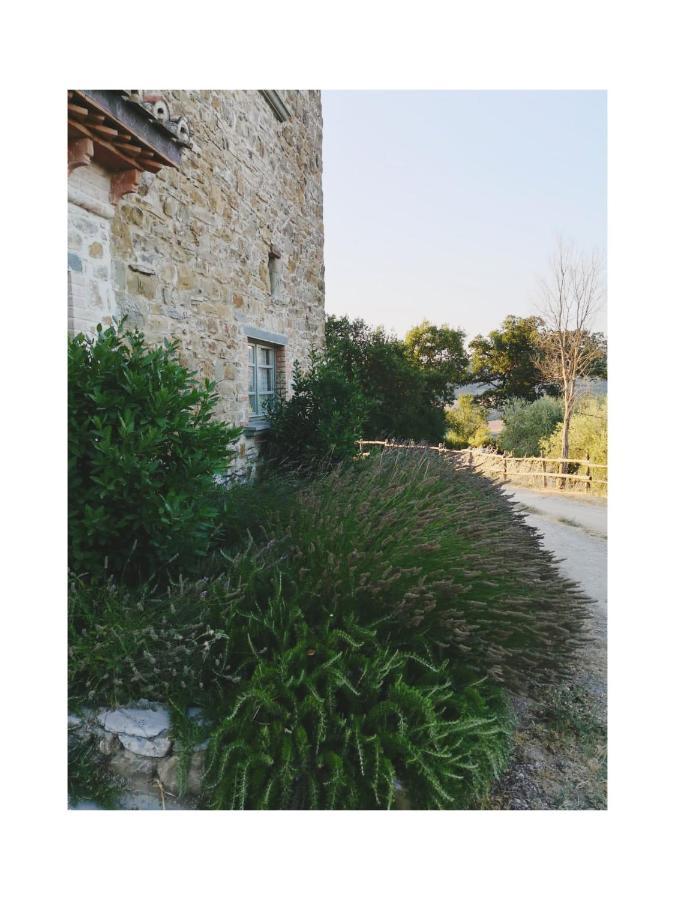 Podere Paradiso Magione Exterior foto
